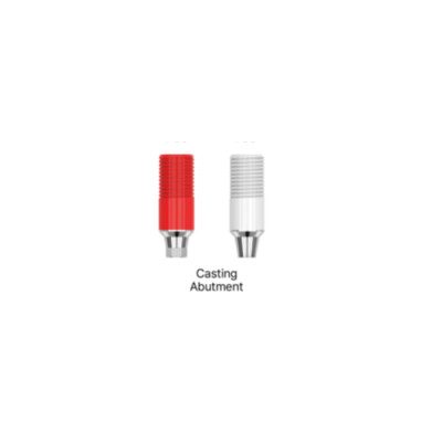  Casting Abutment point Implant 